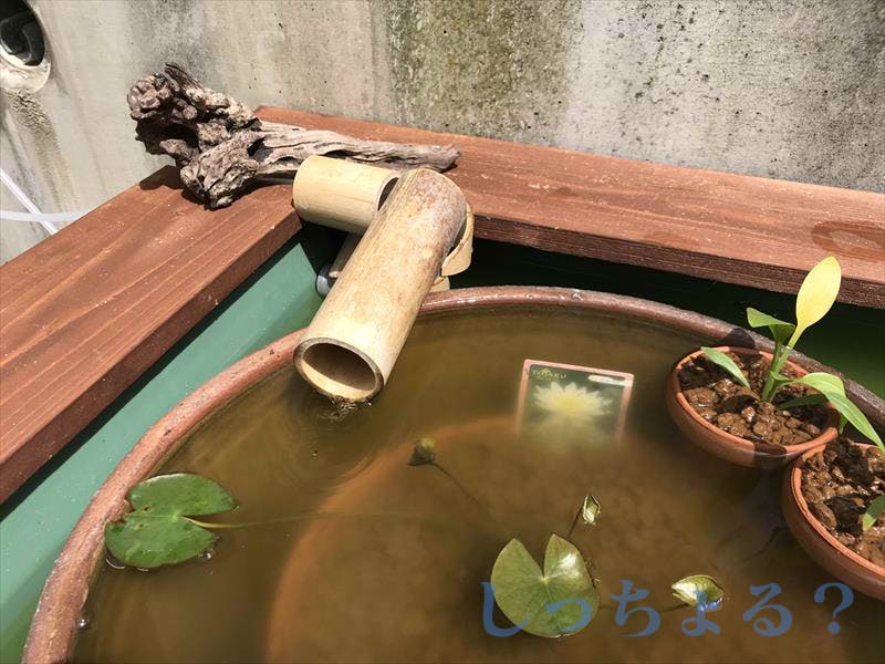 竹の吐水口改良