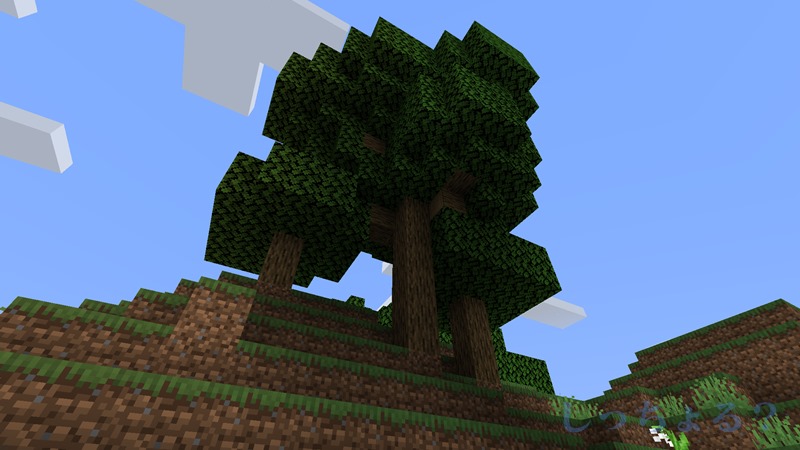 大きな樹木