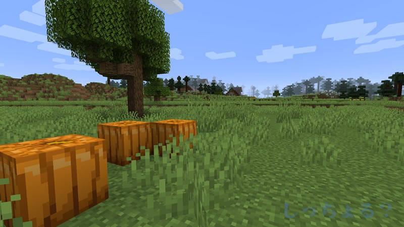 一砂Minecraft次の村